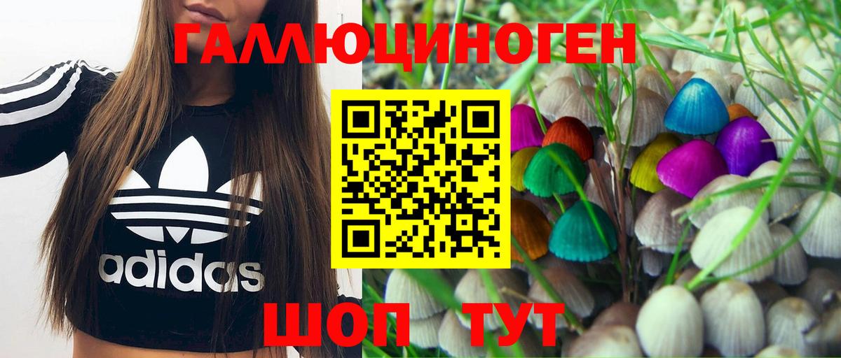 Галлюциногенные грибы Psilocybine cubensis  Вход с VPN  Гусиноозёрск 