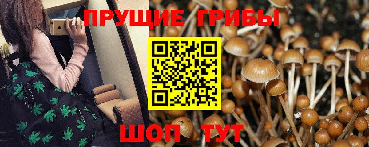 Галлюциногенные грибы Magic Shrooms Гусиноозёрск